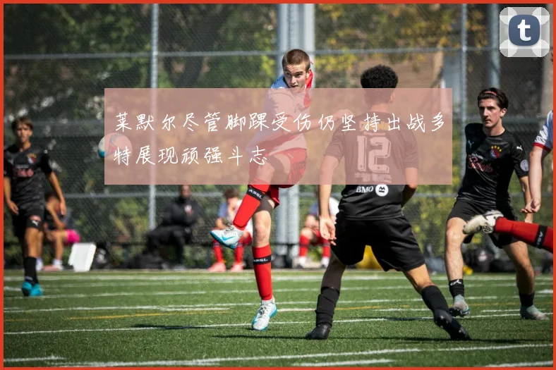 莱默尔尽管脚踝受伤仍坚持出战多特展现顽强斗志