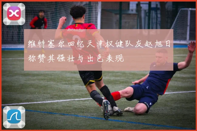 维特塞尔回忆天津权健队友赵旭日称赞其强壮与出色表现