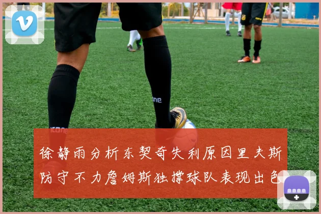徐静雨分析东契奇失利原因里夫斯防守不力詹姆斯独撑球队表现出色